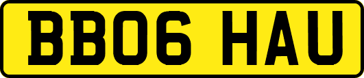 BB06HAU