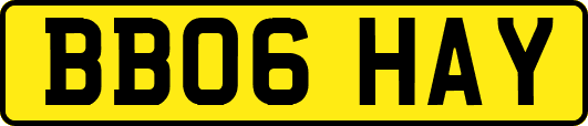 BB06HAY