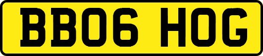 BB06HOG