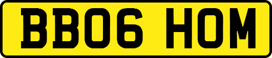 BB06HOM