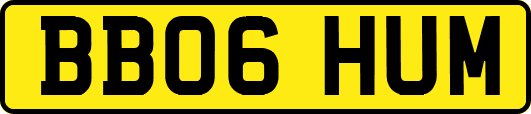 BB06HUM