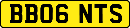 BB06NTS