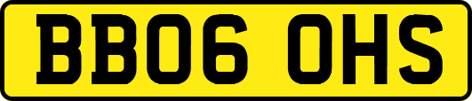 BB06OHS