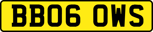 BB06OWS