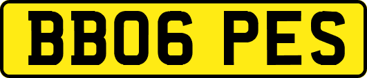 BB06PES