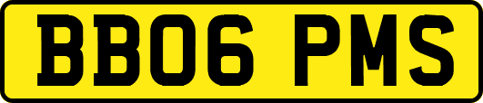 BB06PMS