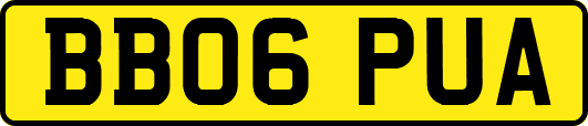 BB06PUA