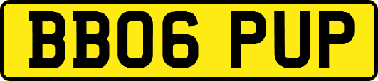 BB06PUP