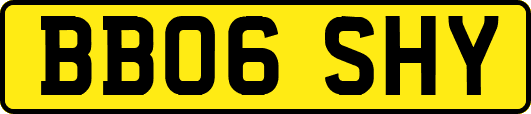 BB06SHY