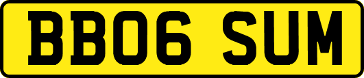 BB06SUM