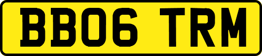 BB06TRM