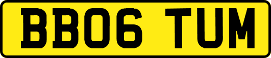 BB06TUM