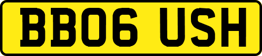 BB06USH
