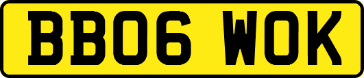 BB06WOK