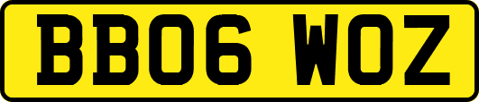 BB06WOZ