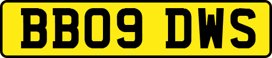 BB09DWS