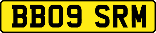BB09SRM