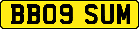 BB09SUM