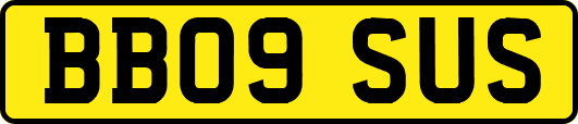 BB09SUS