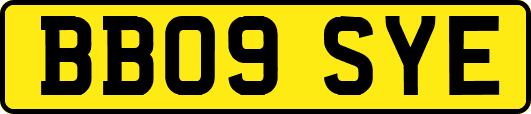 BB09SYE