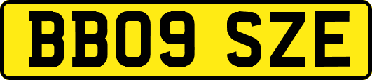 BB09SZE