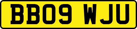 BB09WJU