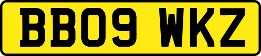 BB09WKZ