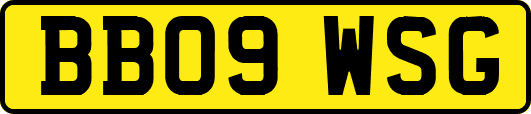BB09WSG