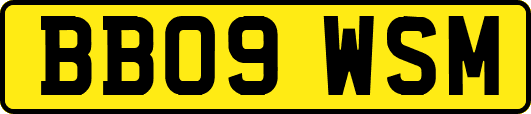 BB09WSM