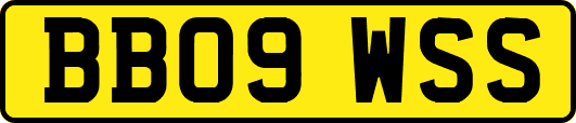 BB09WSS