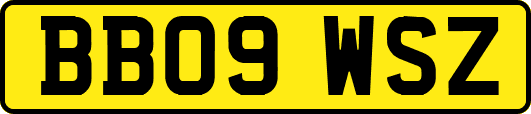 BB09WSZ