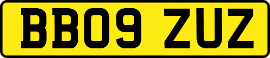 BB09ZUZ