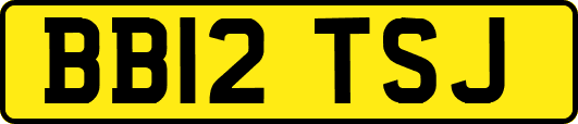 BB12TSJ