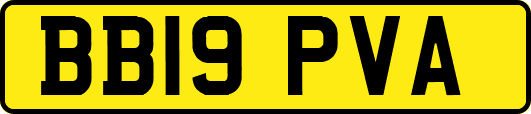 BB19PVA