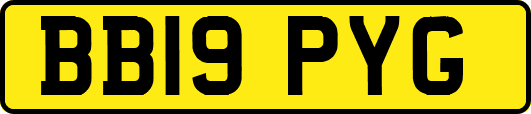 BB19PYG