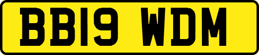BB19WDM