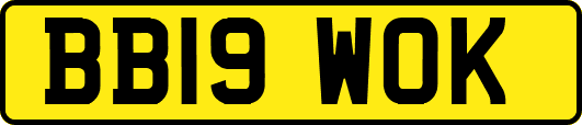 BB19WOK