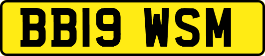 BB19WSM