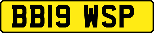 BB19WSP