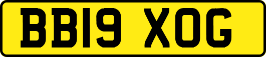 BB19XOG