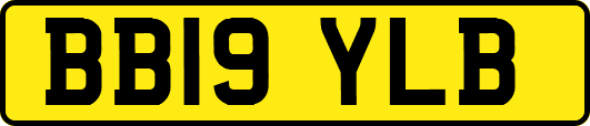 BB19YLB