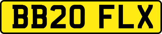 BB20FLX