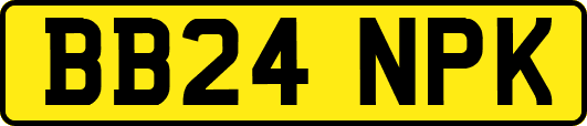 BB24NPK