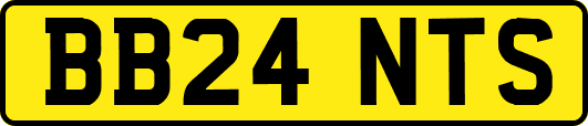 BB24NTS