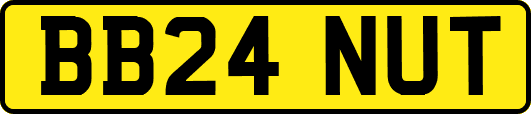 BB24NUT