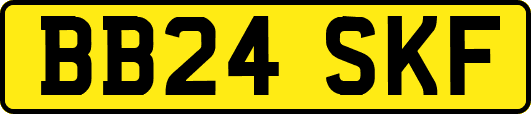 BB24SKF