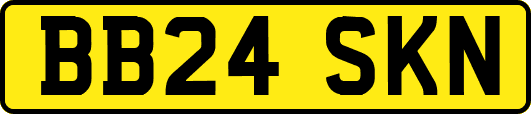 BB24SKN