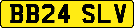 BB24SLV