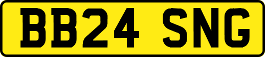 BB24SNG