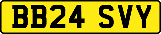 BB24SVY
